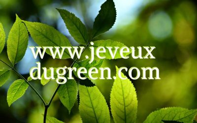 Formation : éco-conception de sites web