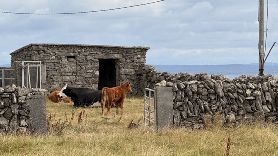 (Jour 8) Aran Islands : la croisière s&rsquo;amuse